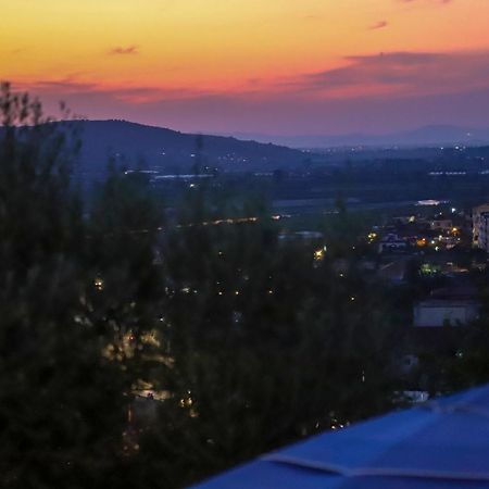 Bujtina Musta Konuk evi Berat Dış mekan fotoğraf