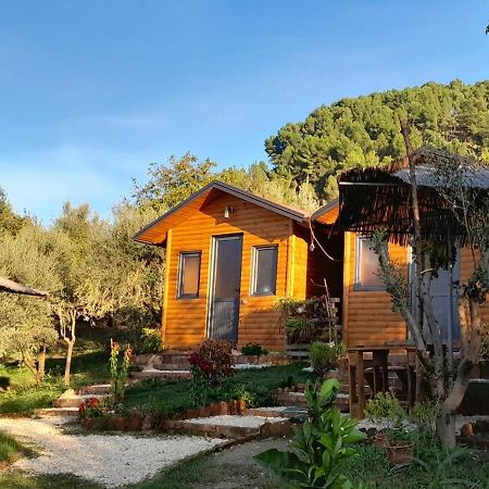 Bujtina Musta Konuk evi Berat Dış mekan fotoğraf