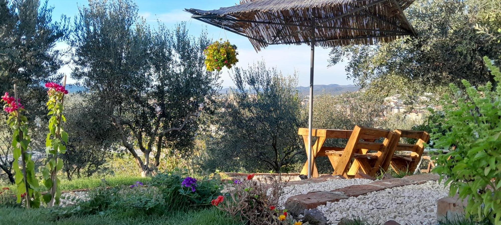 Bujtina Musta Konuk evi Berat Dış mekan fotoğraf