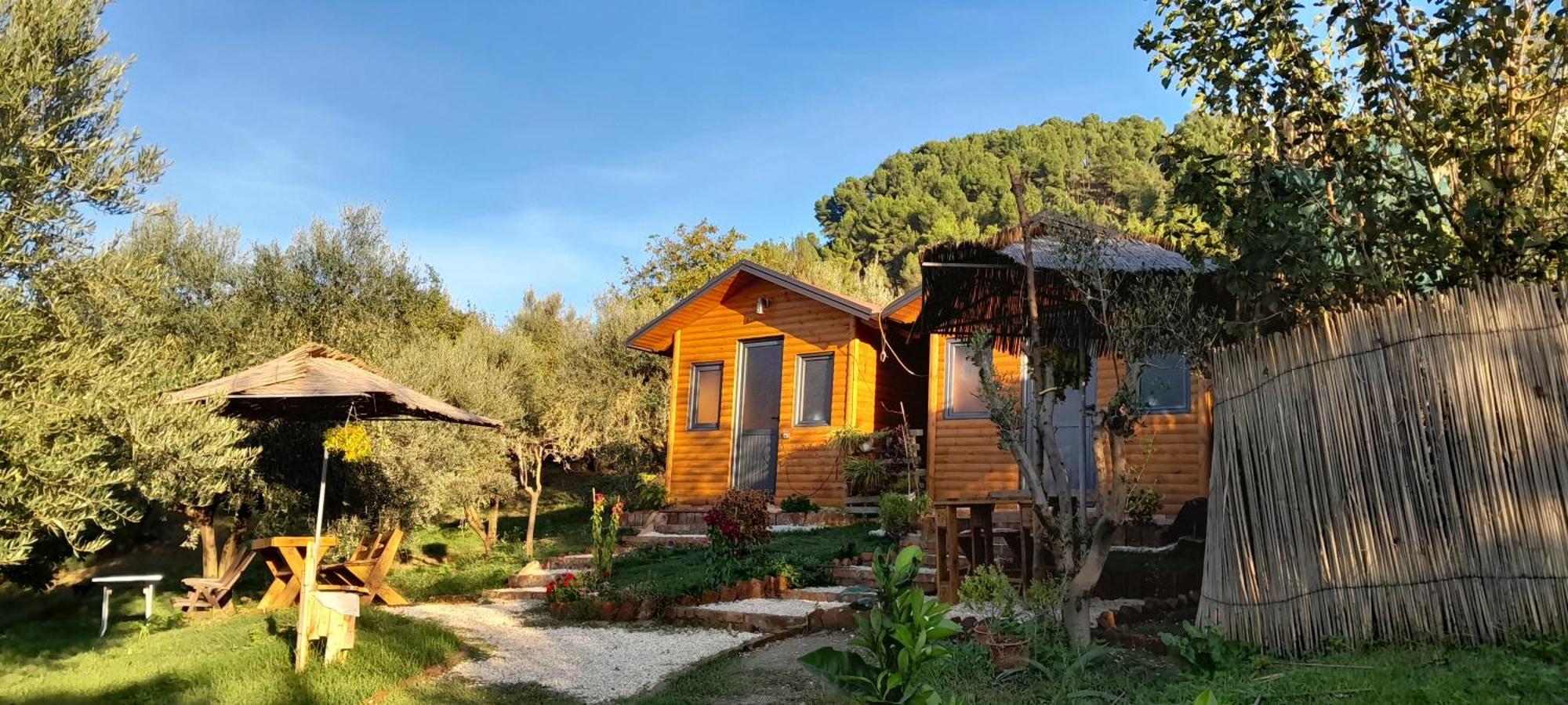 Bujtina Musta Konuk evi Berat Dış mekan fotoğraf