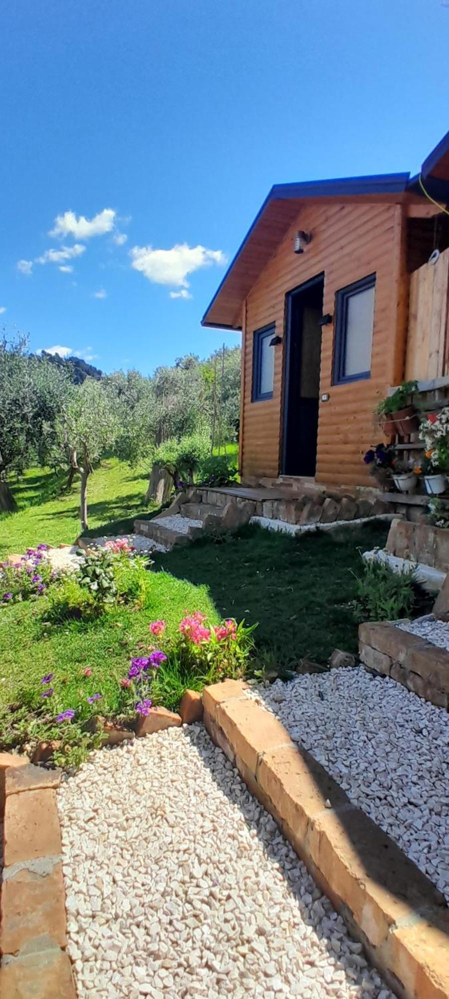 Bujtina Musta Konuk evi Berat Dış mekan fotoğraf